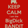 BigDickBandit29